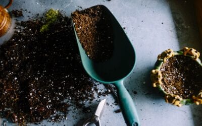 Blog Post 2